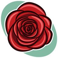 Rose N42