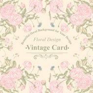Vector floral greeting card with blossom roses N14