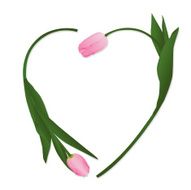 Tulip Heart