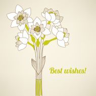 Greeting card with narcissus N2