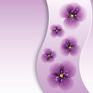 Pansy flowers N2