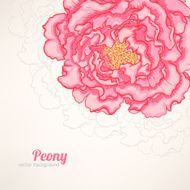 background with pink peony
