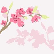 Cherry branch in blossom Seasonal background N2