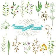 Set of floral design elements N17