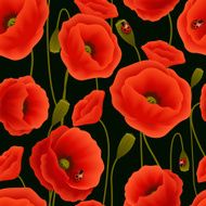 Poppy Seamless Pattern N2