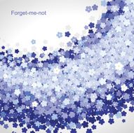 Forget-me-not background