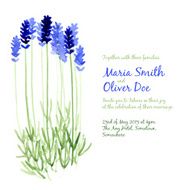 Vector background with blue watercolor lavender N13