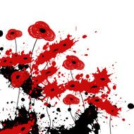 Abstract poppies from paint splash