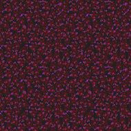 Poppy flower pattern N5