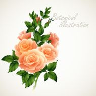 Botanical vector illustration Vintage floral card N6
