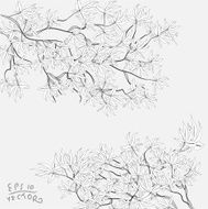 Floral Elements for design N46