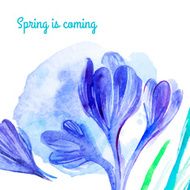 watercolor flower N18