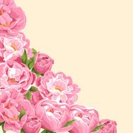 Peonies N10