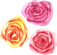 vector watercolor floral set N2