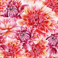 Seamless pattern with red dahlia N4