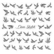 Dove and Pigeon Set in Sketch Style