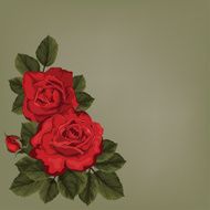 Invitation card with rose - Illustration