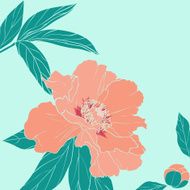 Hand drawn illustrations of peony