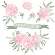 watercolor floral set N17