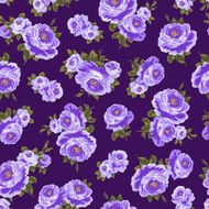 repetition of the rose N59