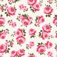 repetition of the rose N62