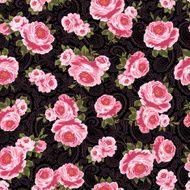repetition of the rose N63