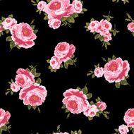 repetition of the rose N66