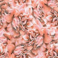 seamless pattern with beautiful roses N17