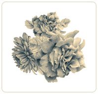 Composition of different spring flowers and plants N8