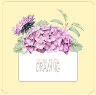 Background with beautiful spring flowers and plants N2