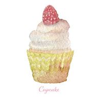 Watercolor hand drawn raspberry mojito cupcake