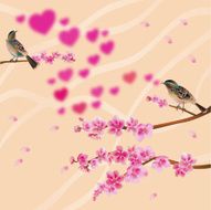 love birds sakura spring Valentine&#039;s Day N2