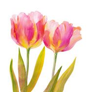 Vintage red tulips N7