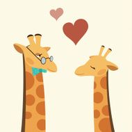 Two giraffes N6
