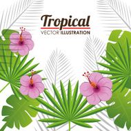 Flowers design vector illustration N39