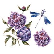 Isolated background with flowers Watercolor illustration N4