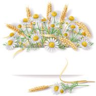 Banner with Wild Chamomile and Wheat EarsBunch