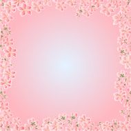 Seamless texture cherry blossoms frame vector