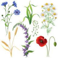 Wildflowers Set N2
