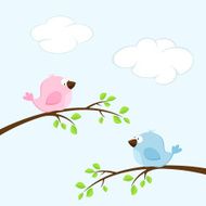 Birds N42