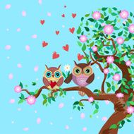 Owls In Love N7