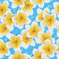 Tropical flowers plumeria N12