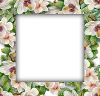 Watercolor flower frame on white background N54