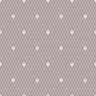 White Lace Seamless Pattern Beige Background N2