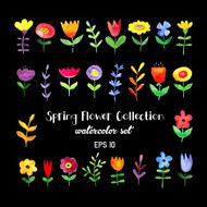 watercolor floral illustration N6