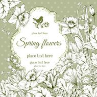 spring flowers N21