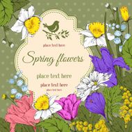 spring flowers N22
