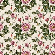 Seamless pattern with flowers Watercolor illustration N47