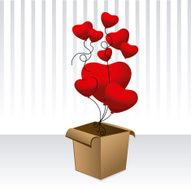 Valentines Day N375