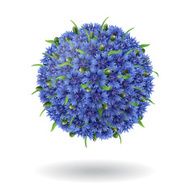 Floral ball N2